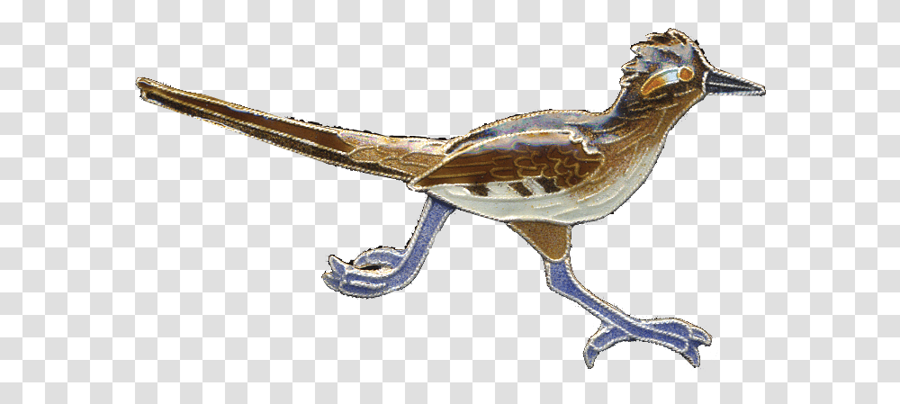 Road Runner Bird Roadrunner, Snake, Animal, Sparrow, Beak Transparent Png