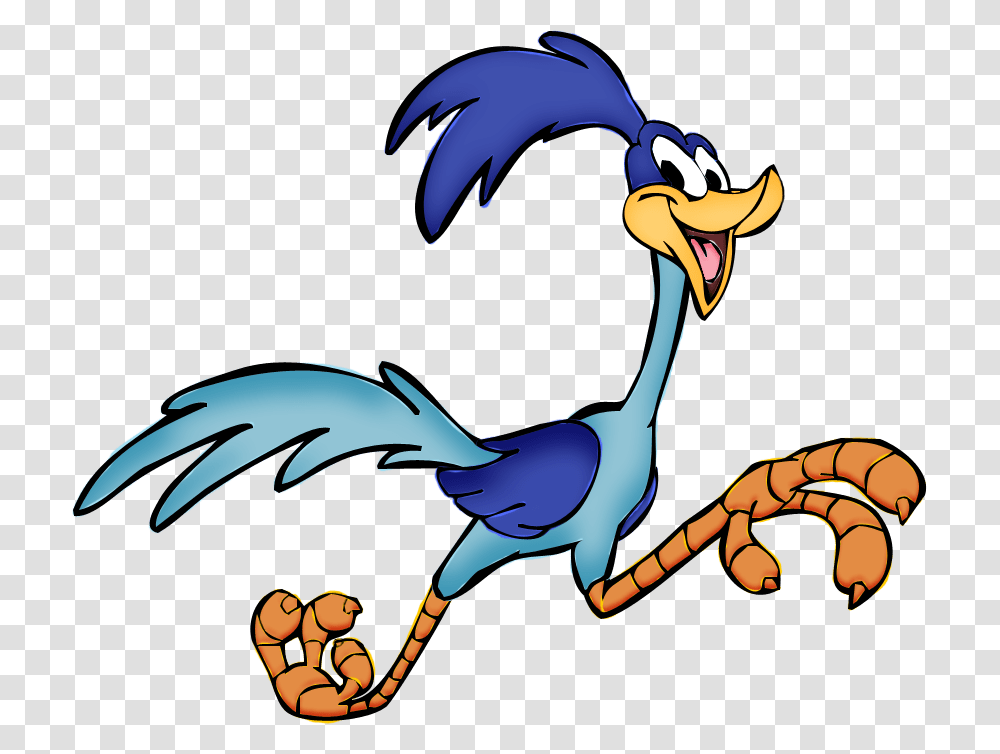 Road Runner Cartoon Pictures, Jay, Bird, Animal, Blue Jay Transparent Png