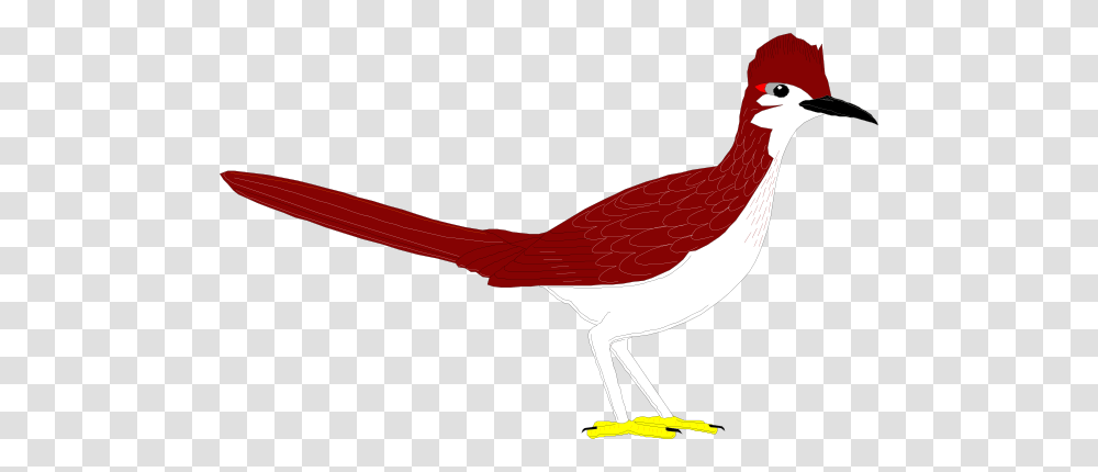 Road Runner Cliparts, Bird, Animal, Pheasant, Beak Transparent Png