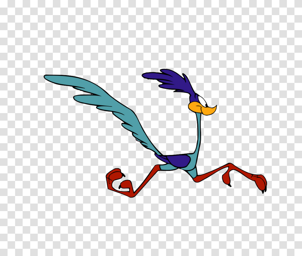 Road Runner Funny Picture Road Runner Funny Wallpaper, Flying, Bird, Animal, Macaw Transparent Png