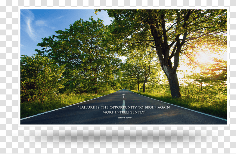 Road Tree Backgrounds Hd, Tarmac, Outdoors, Plant, Nature Transparent Png