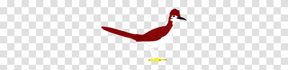 Roadrunner Clip Art, Bird, Animal, Beak, Finch Transparent Png