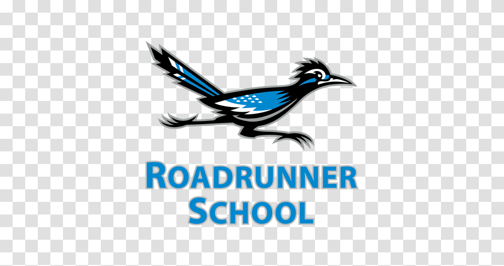 Roadrunner Clipart Mascot, Jay, Bird, Animal, Blue Jay Transparent Png