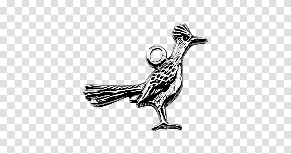 Roadrunner Ecosmart Designs, Bird, Animal, Logo Transparent Png