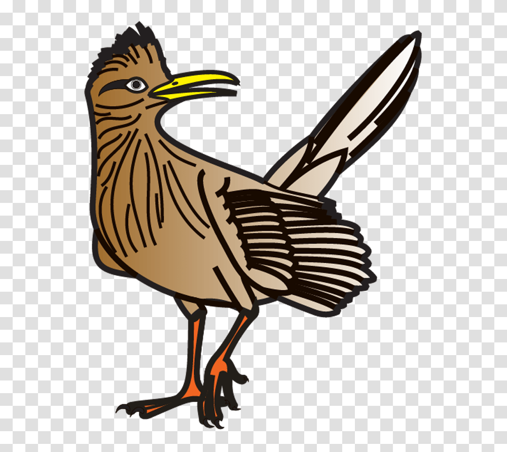 Roadrunner News, Bird, Animal, Beak, Goose Transparent Png