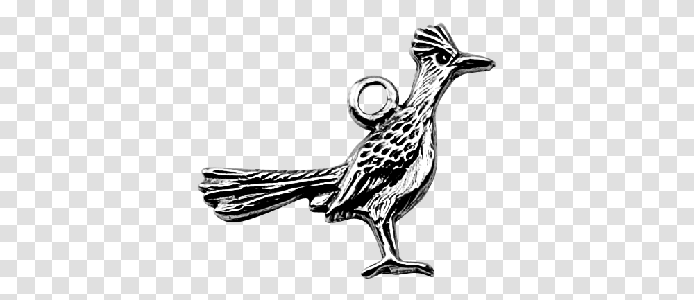 Roadrunner Roadrunner, Bird, Animal, Beak, Drawing Transparent Png