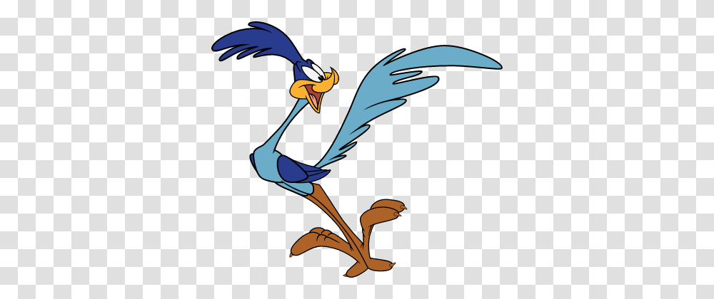 Roadrunner Rrr, Bird, Animal, Jay, Flying Transparent Png