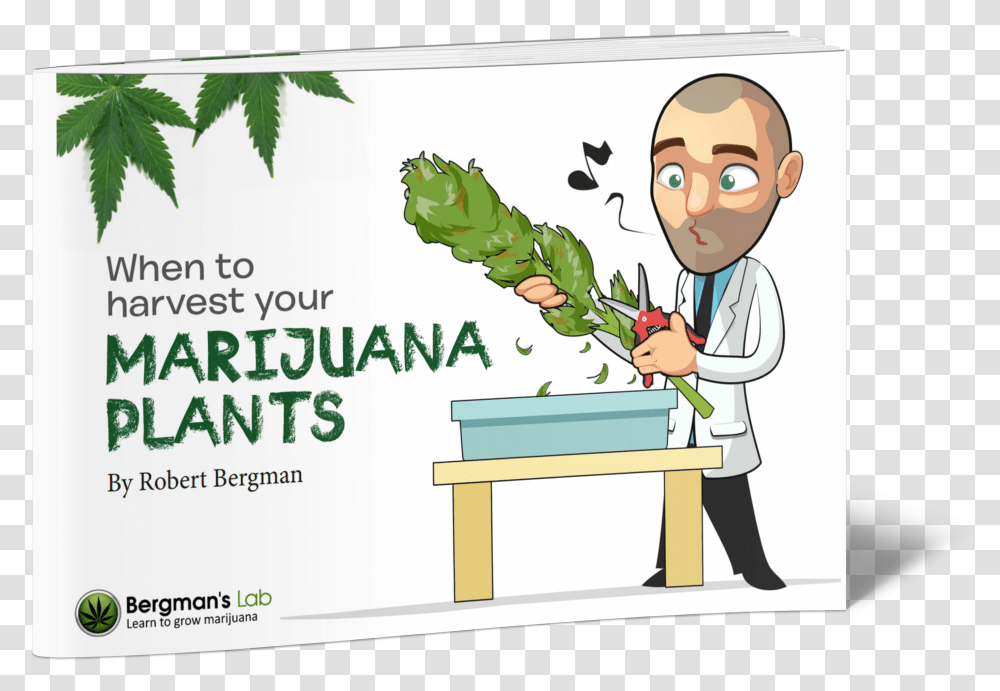 Robert Bergman I Love Growing Marijuana, Person, Human, Teacher, Scientist Transparent Png