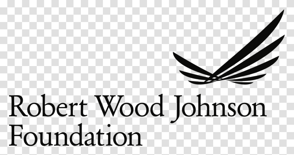 Robert Wood Johnson Foundation, Flying, Bird, Animal Transparent Png