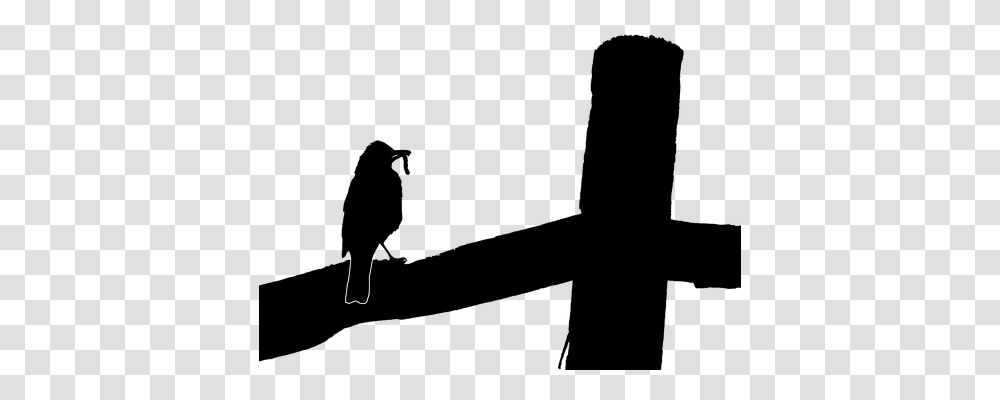 Robin Nature, Outdoors, Photography, Silhouette Transparent Png