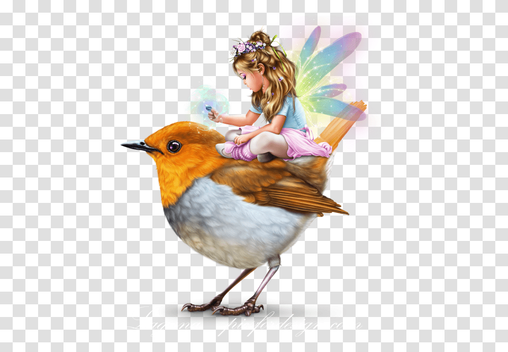 Robin Bird Little Fairy Girls, Animal, Chicken, Poultry Transparent Png