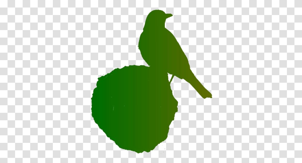 Robin Bird On Rock Full Hd House Sparrow, Green, Animal, Plant, Mammal Transparent Png