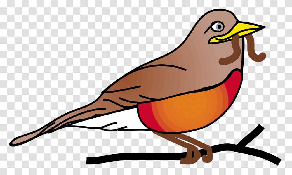 Robin Clipart, Bird, Animal, Beak, Quail Transparent Png