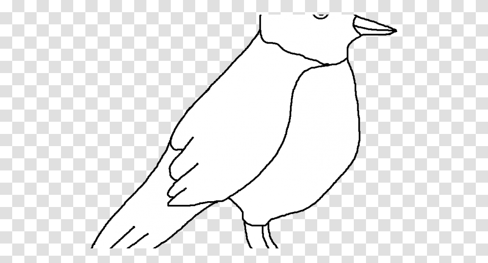 Robin Clipart Black And White, Bird, Animal, Person, Finch Transparent Png