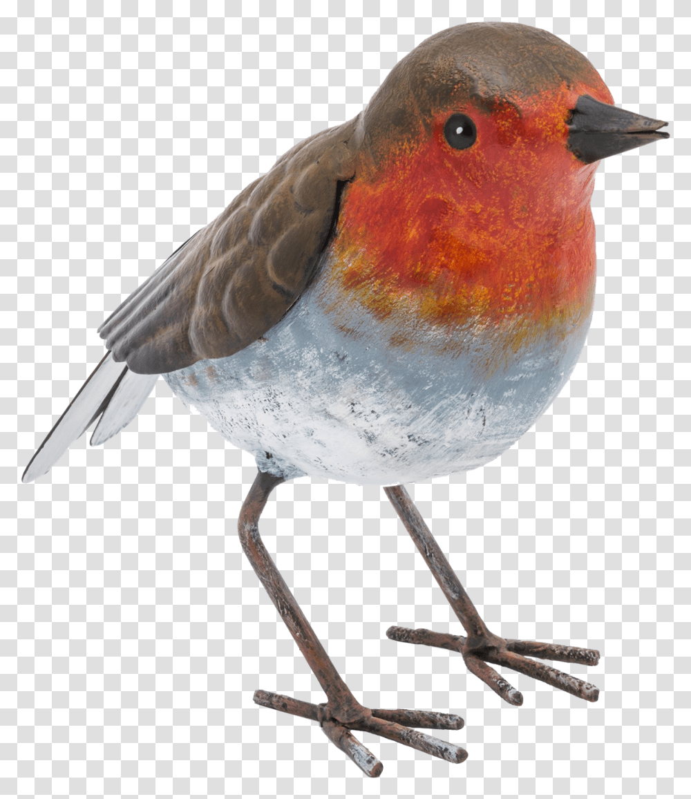 Robin Free Download Fountasia, Bird, Animal, Finch, Head Transparent Png