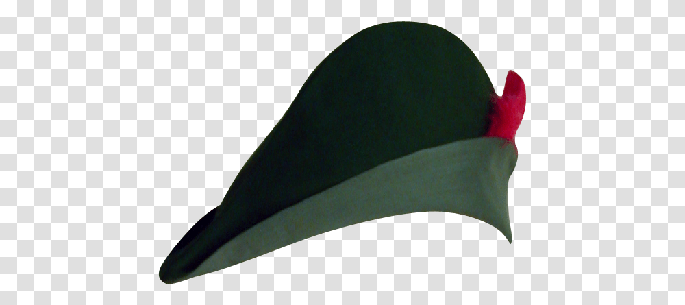 Robin Hood Hat Picture Bird, Clothing, Bathing Cap, Baseball Cap, Swimwear Transparent Png