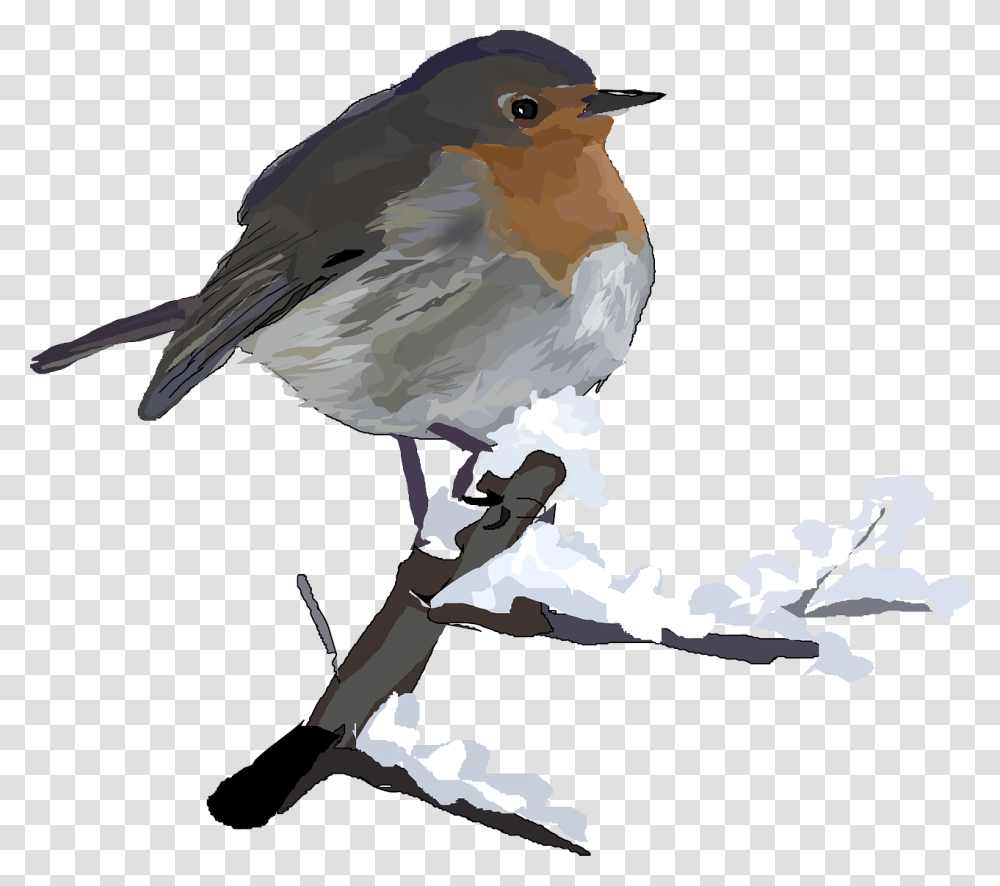 Robin In Snow Clip Art, Bird, Animal, Jay Transparent Png