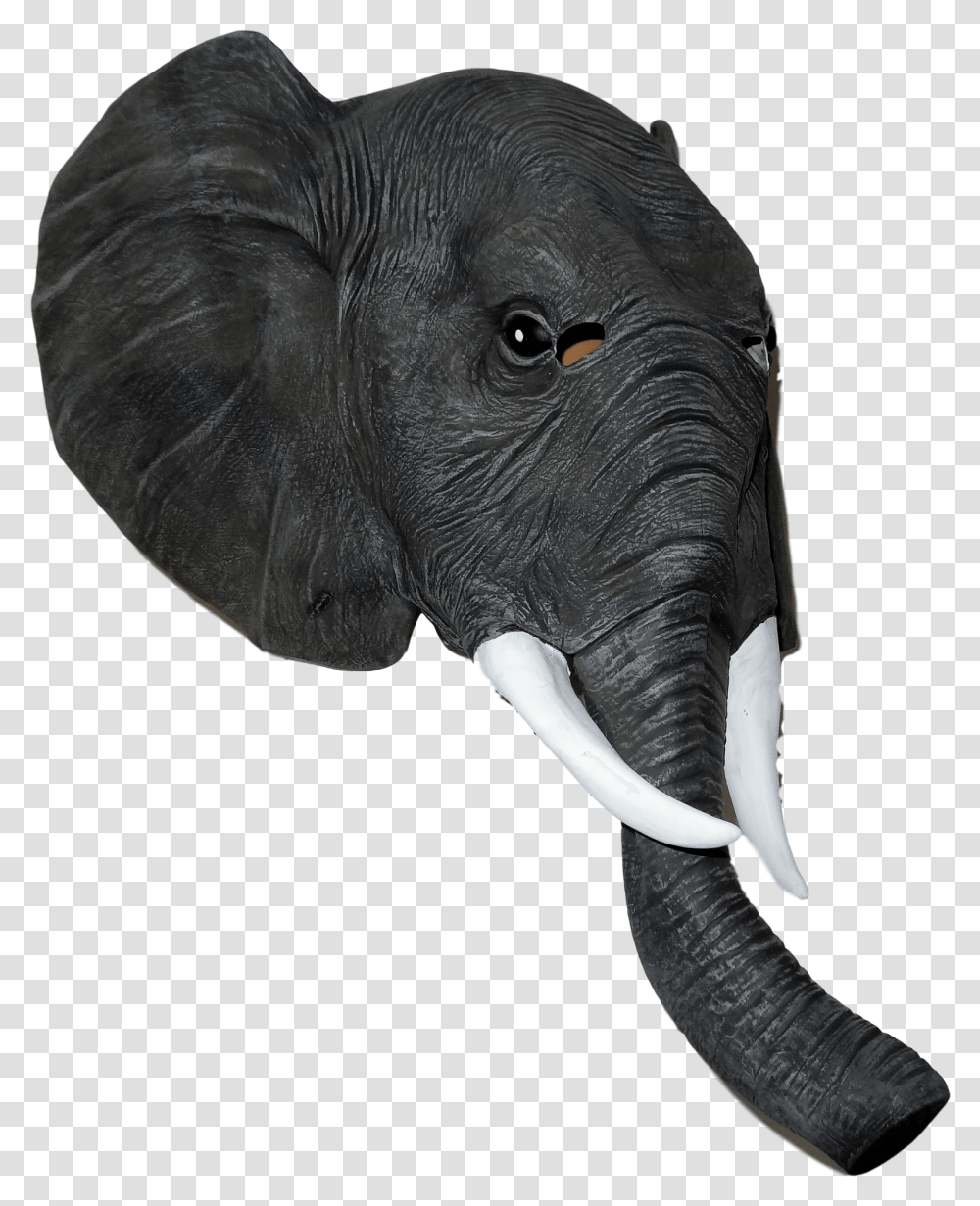 Robin Mask Elephant Mask, Wildlife, Mammal, Animal, Beak Transparent Png