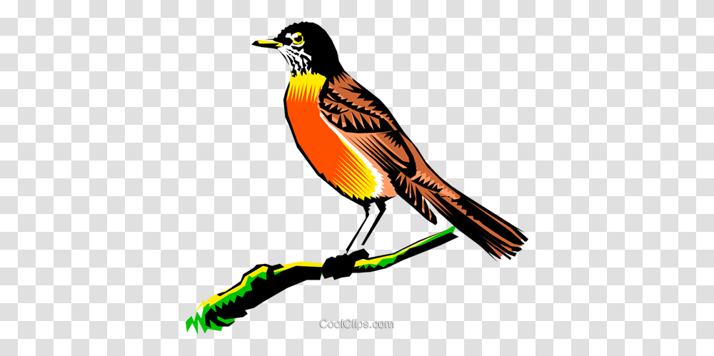 Robin On A Branch Royalty Free Vector Clip Art Illustration, Bird, Animal, Beak, Blackbird Transparent Png