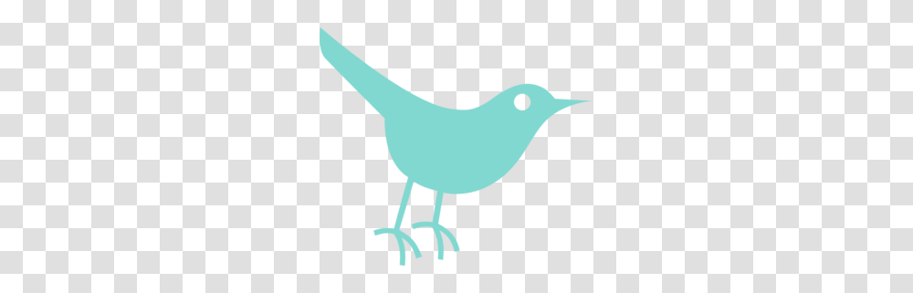 Robins Egg Twitter Bird Clip Art, Animal, Reptile, Dinosaur Transparent Png