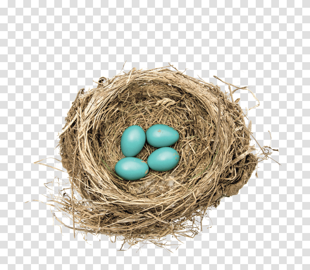 Robins Nest, Bird Nest, Food, Fungus, Egg Transparent Png