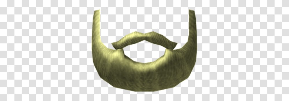 Roblox Arcane Adventures Wikia Blonde Beard, Jaw, Mouth, Person, Fungus Transparent Png