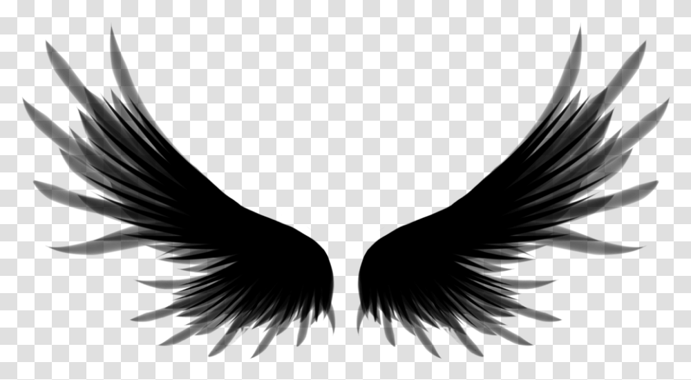 Roblox Free Black Wings, Gray, World Of Warcraft Transparent Png