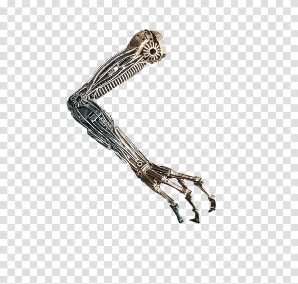 Robot, Skeleton, Accessories, Accessory, Bird Transparent Png