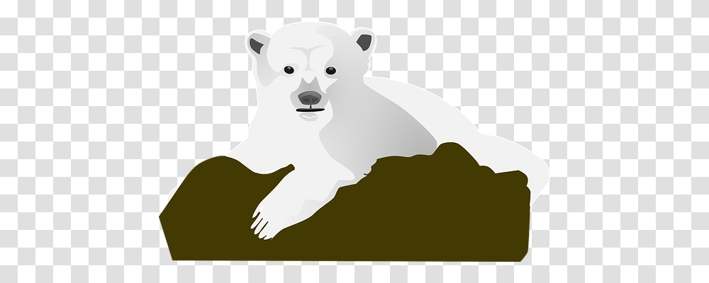 Rock Animals, Mammal, Wildlife, Bear Transparent Png