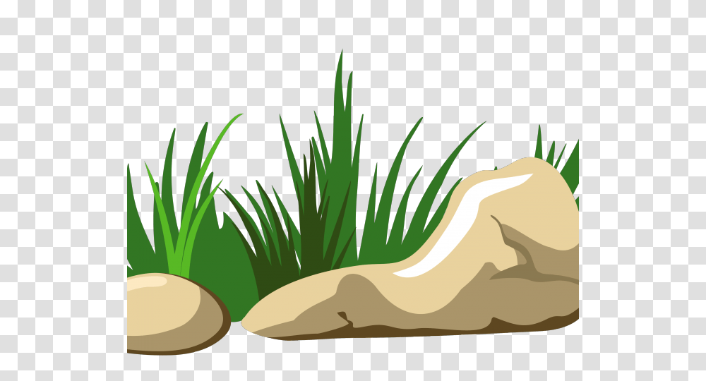 Rock Clipart, Vegetation, Plant, Nature, Outdoors Transparent Png