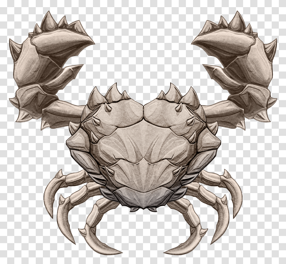 Rock Crab, Sea Life, Animal, Seafood, King Crab Transparent Png