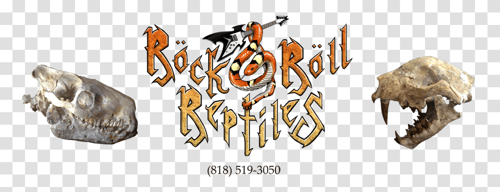 Rock N Roll Reptiles Cartoon, Alphabet, Dragon, Calligraphy Transparent Png