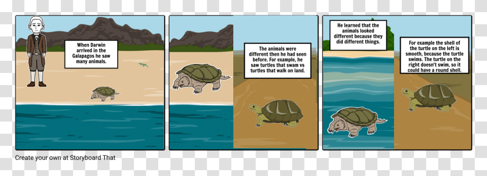 Rock Pocket Mice Cartoon, Tortoise, Turtle, Reptile, Sea Life Transparent Png
