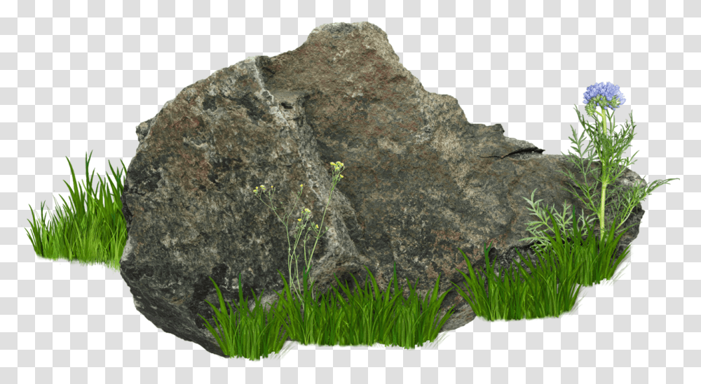 Rock Rock Stone, Plant, Grass, Vegetation, Bush Transparent Png
