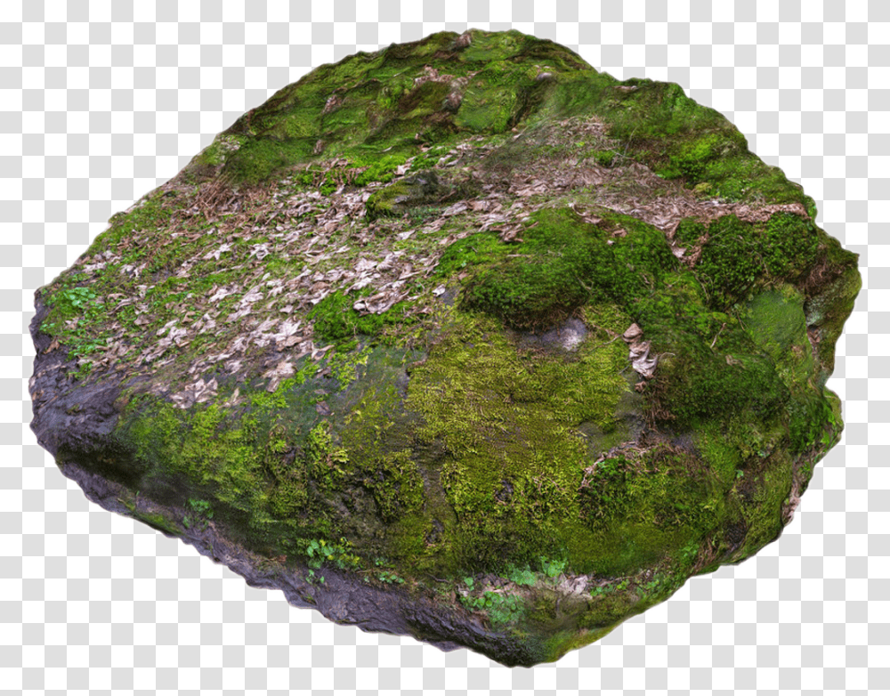 Rock With Moss Download Mossy Rock 3d Model, Land, Outdoors, Nature, Sea Transparent Png