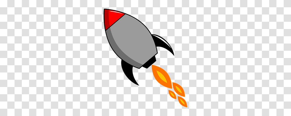 Rocket Animal, Bird Transparent Png