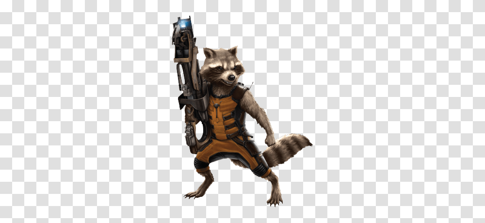 Rocket, Animal, Mammal, Raccoon, Photography Transparent Png