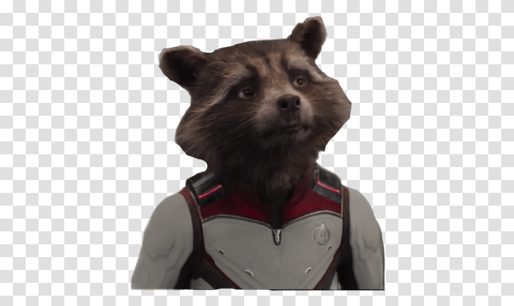 Rocket Endgame Marvel Freetoedit Rocket Raccoon, Mammal, Animal, Dog, Pet Transparent Png