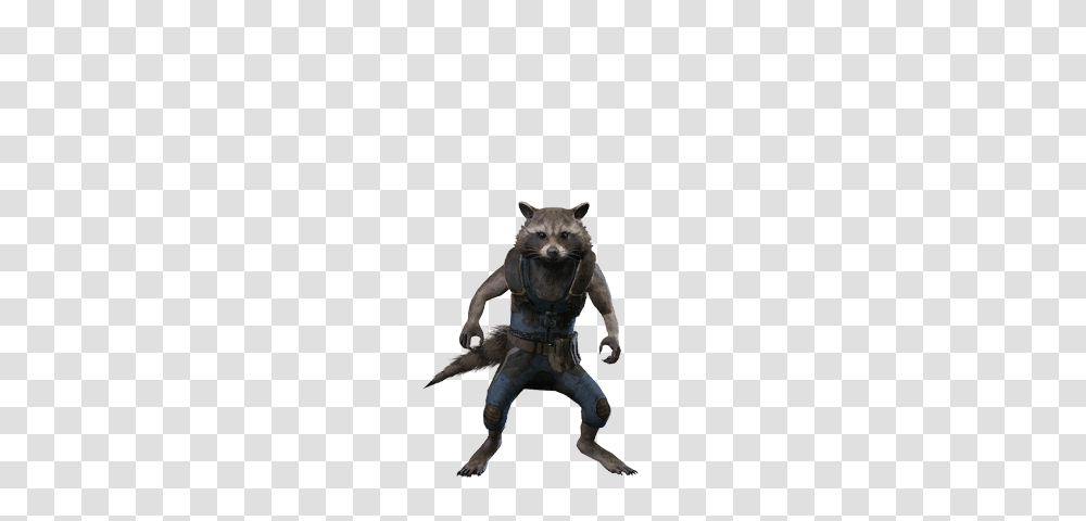 Rocket Raccoon Guardians Of The Galaxy Vol Costume, Person, Animal, Mammal, Photography Transparent Png