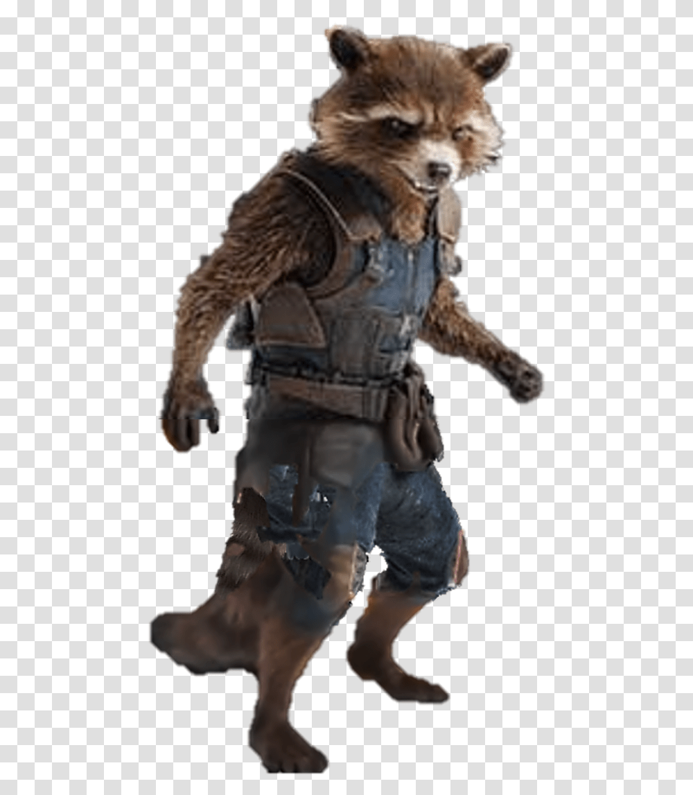 Rocket Raccoon, Person, Human, Call Of Duty, Mammal Transparent Png