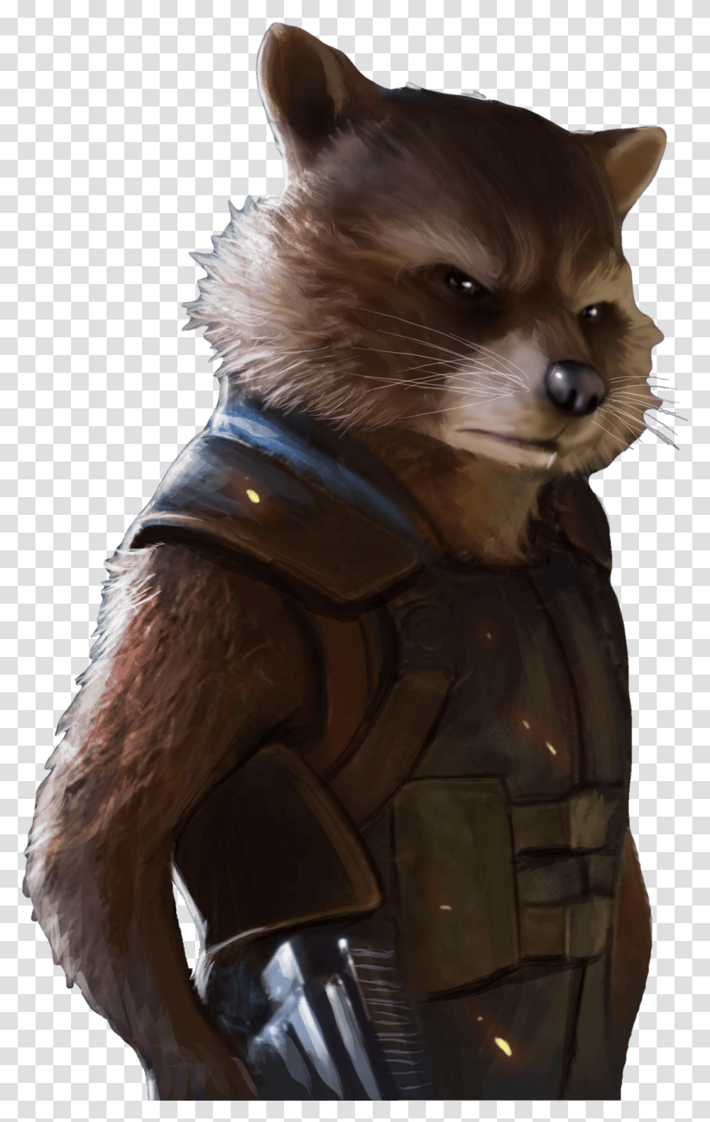 Rocket Racoon, Helmet, Apparel, Mammal Transparent Png