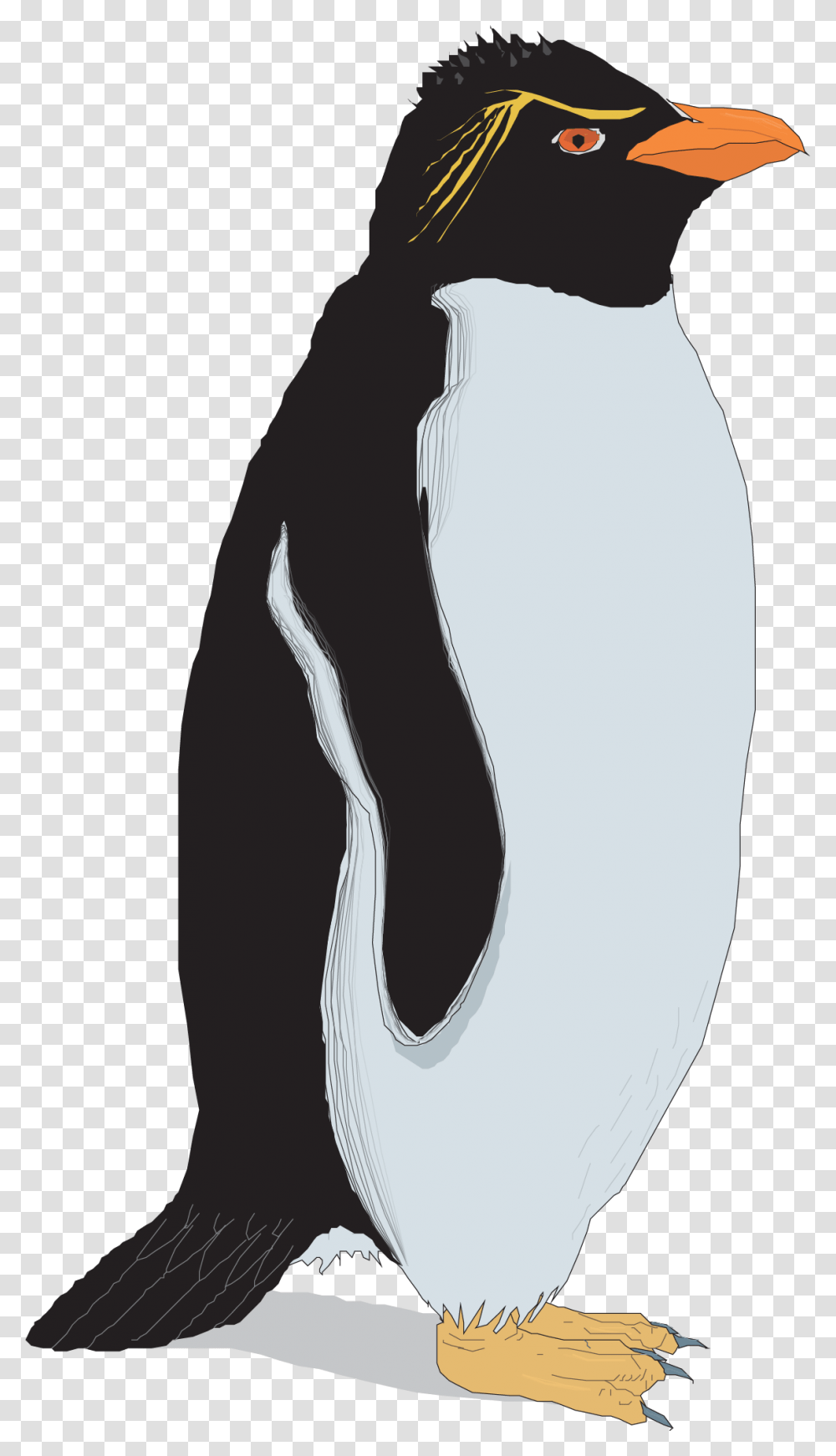 Rockhopper Penguin Clip Art, Bird, Animal, King Penguin, Person Transparent Png