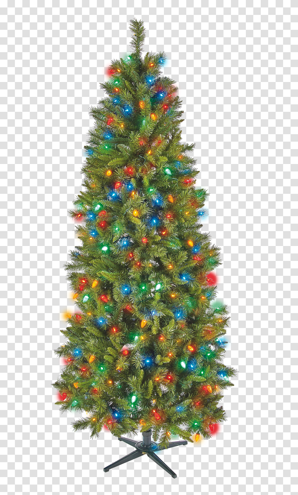 Rockin Around The Christmas Tree Lot Christmas Decor, Ornament, Plant Transparent Png