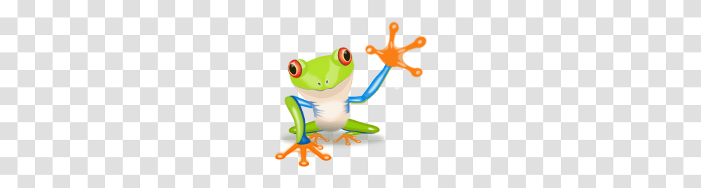 Rockin Rainforest And Book Fair Nesmith Library, Toy, Frog, Amphibian, Wildlife Transparent Png