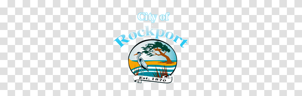 Rockport Rv Park Lagoons Rv Resort, Bluebird, Animal, Jay, Flyer Transparent Png