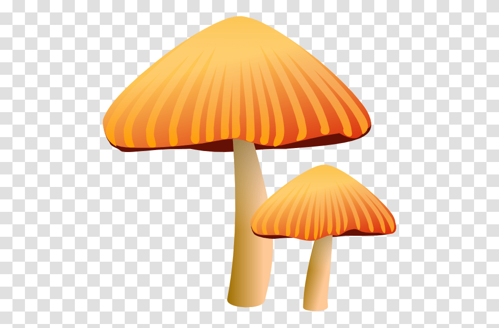 Rockraikar Orange Mushroom Clip Art Free Vector, Plant, Lamp, Amanita, Agaric Transparent Png