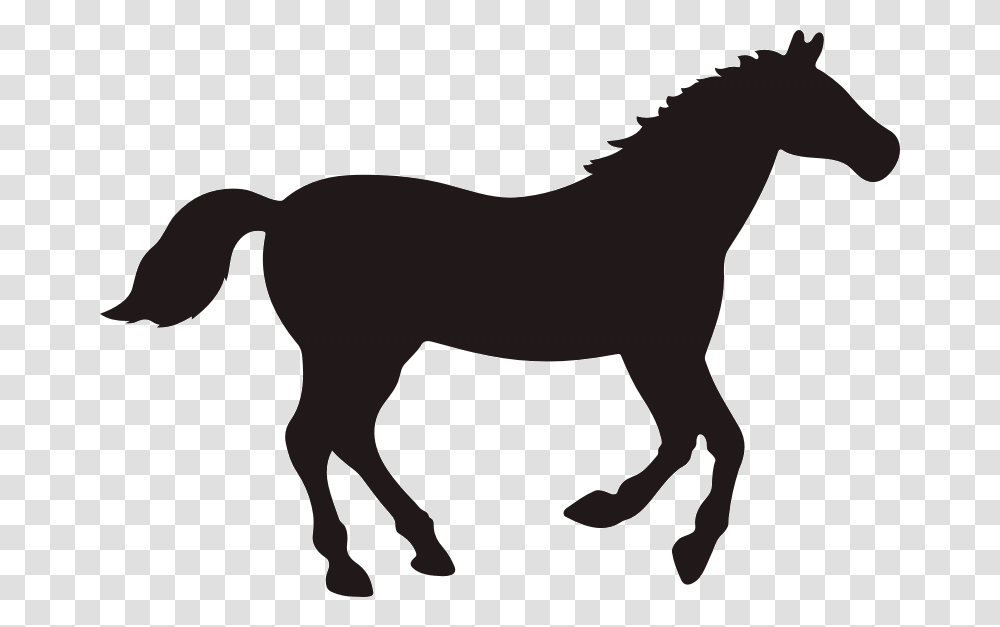 Rocky Mountain Horse Vector Graphics Clip Art Black Horse Silhouette, Foal, Mammal, Animal, Colt Horse Transparent Png