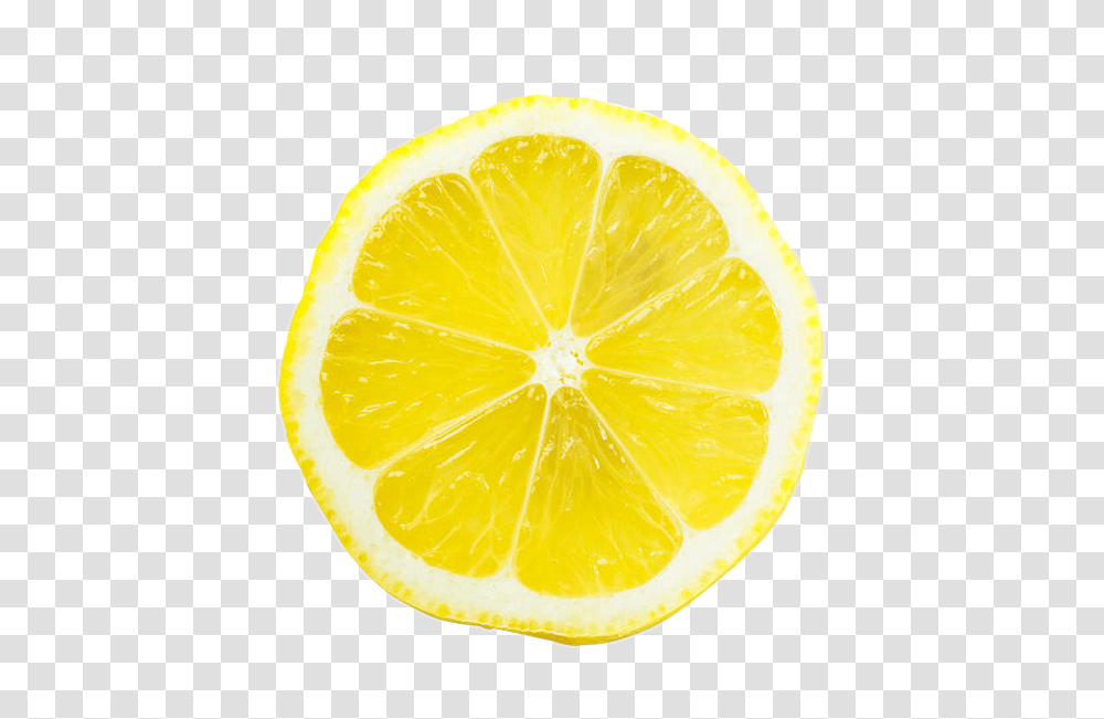 Rodaja De Limon Image Meyer Lemon, Citrus Fruit, Plant, Food, Orange Transparent Png