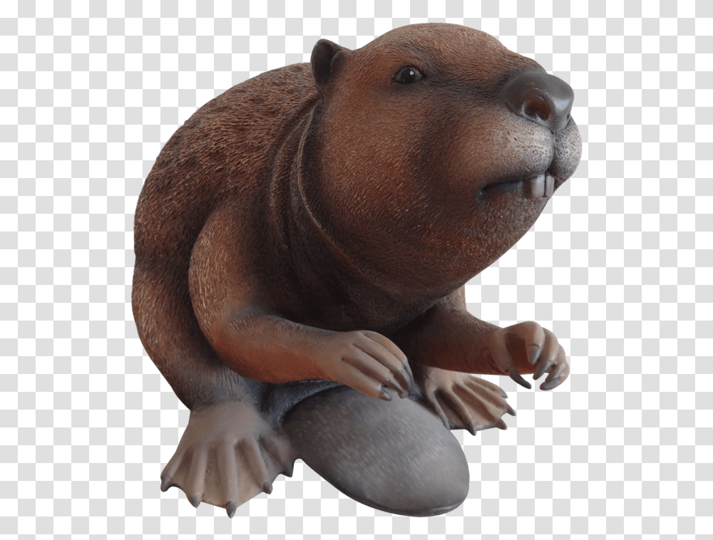 Rodent Beaver Life Size Forest Prop Resin Decor Statue Statue, Animal, Mammal, Wildlife, Figurine Transparent Png