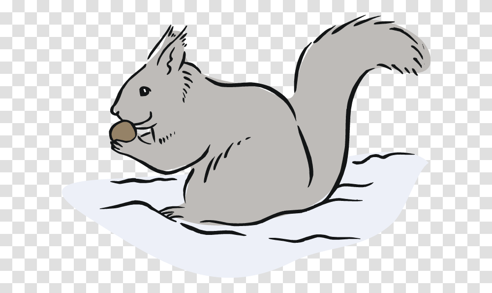 Rodent Clipart Gray, Mammal, Animal, Wildlife, Beaver Transparent Png